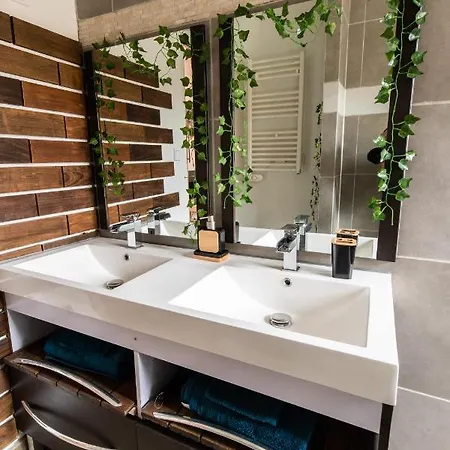Apartament De Charme A 2 Pas Du Centre De Montbrison